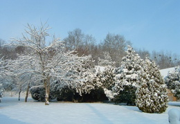 DSCF0041
